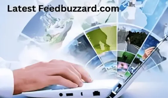 Latest FeedBuzzard.com: A Comprehensive Review of Its Newest Updates