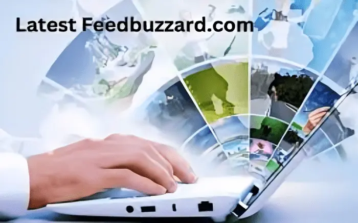 Latest FeedBuzzard.com: A Comprehensive Review of Its Newest Updates