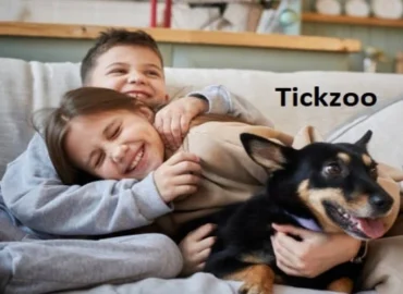 Top 5 Reasons Why You Should Start Using Tickzoo Today