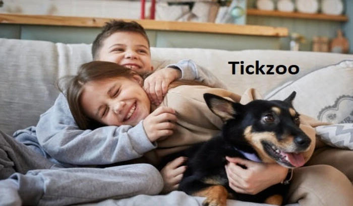 Top 5 Reasons Why You Should Start Using Tickzoo Today