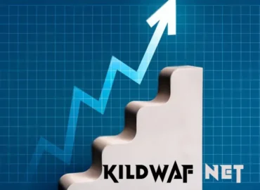 Everything You Should Know About Kildwaf Net in 2024