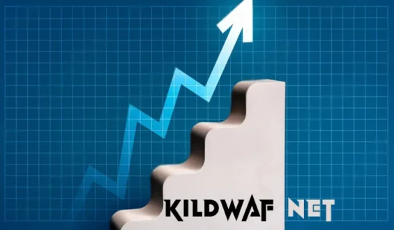 Everything You Should Know About Kildwaf Net in 2024