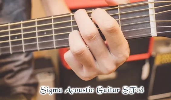 Top Strings & Accessories for Sigma Acoustic Guitar SFo8