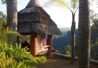 Timamoon Lodge: A Unique Luxury Retreat