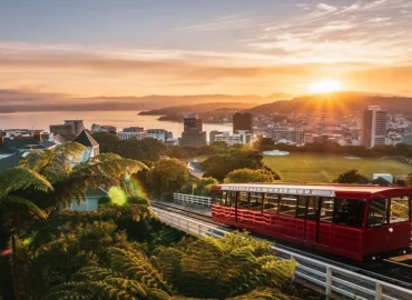 What to Know Before Relocating to Wellington