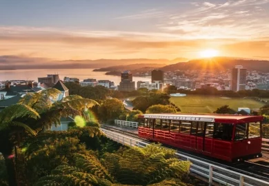 What to Know Before Relocating to Wellington